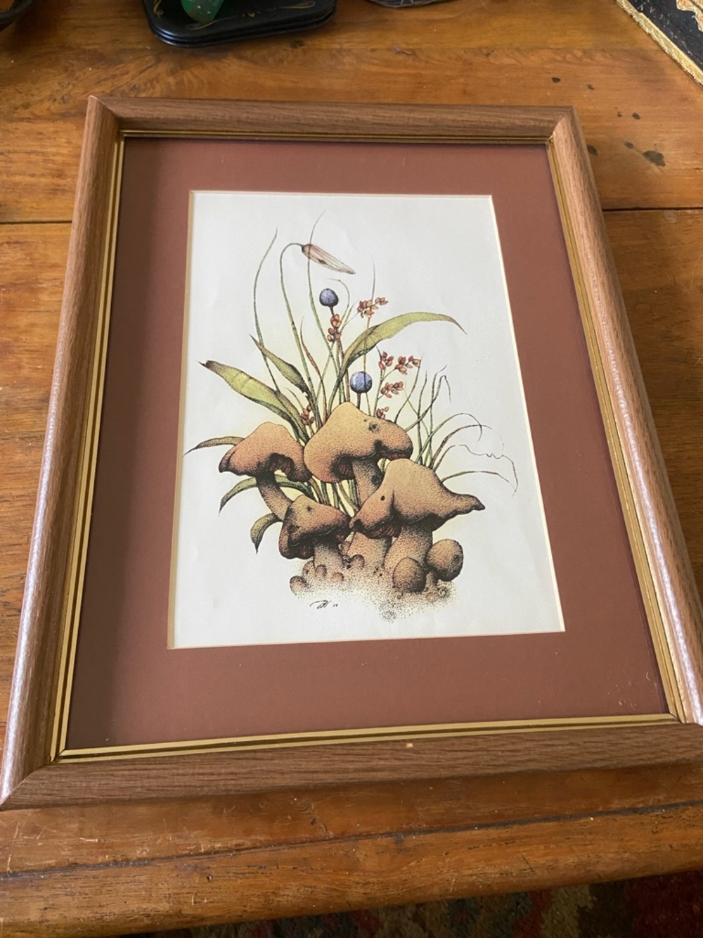 Vintage Framed Botanical Mushroom Print - 11 in x 14 in